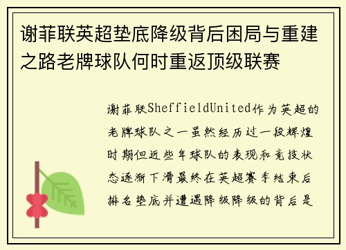 谢菲联英超垫底降级背后困局与重建之路老牌球队何时重返顶级联赛 谢菲联英超垫底降级背后困局与重建之路老牌球队何时重返顶级联赛
